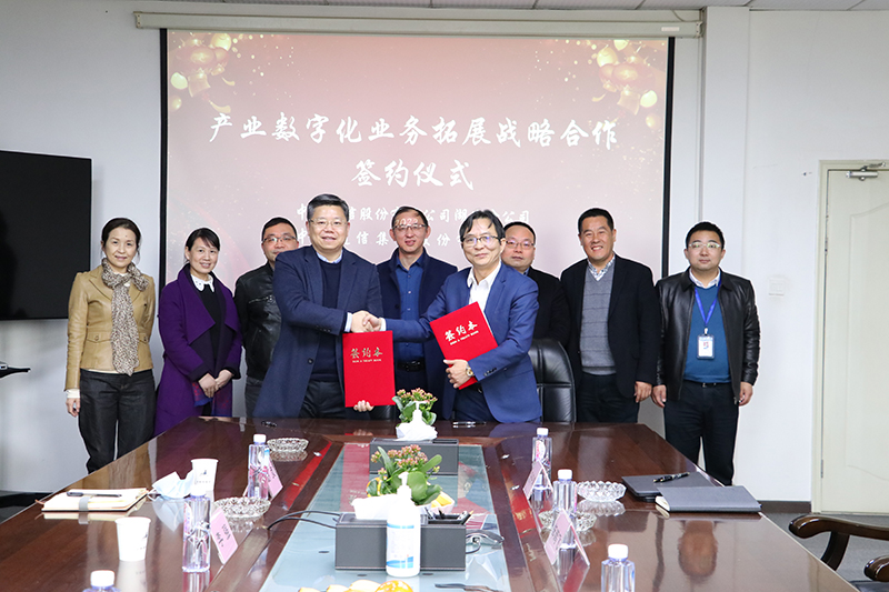 公司新闻-杏鑫娱乐