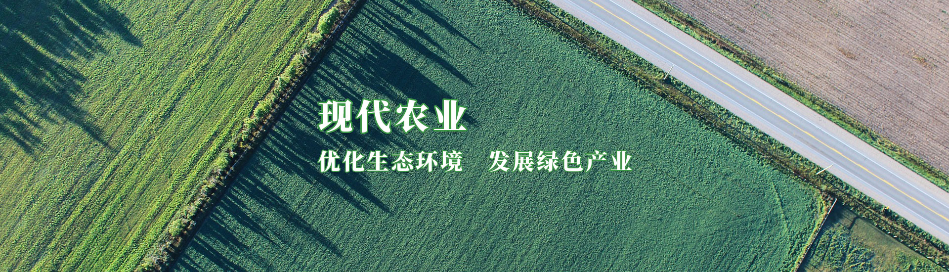 NG28-不凡成就非凡,相信品牌的力量