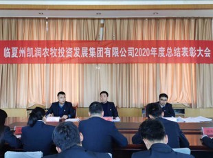 回首凝心聚力 瞻望未来可期 ——NG28-不凡成就非凡,相信品牌的力量公司召开2020年度总结赞美大会