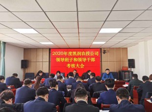 NG28-不凡成就非凡,相信品牌的力量 召开2020年度辅导班子和辅导干部查核大会