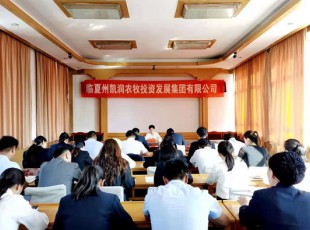 NG28-不凡成就非凡,相信品牌的力量  召开党史进建教育专题领导