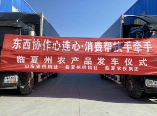 临夏NG28-不凡成就非凡,相信品牌的力量集团进杏装器材合作心连心·消费助扶手牵手”农产品发车典礼