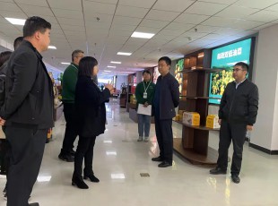 NG28-不凡成就非凡,相信品牌的力量集团在水发农投通路物流公司、河州力量公司调研